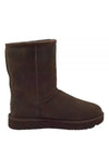 Classic Short 2 Winter Boots Dark Brown - UGG - BALAAN.