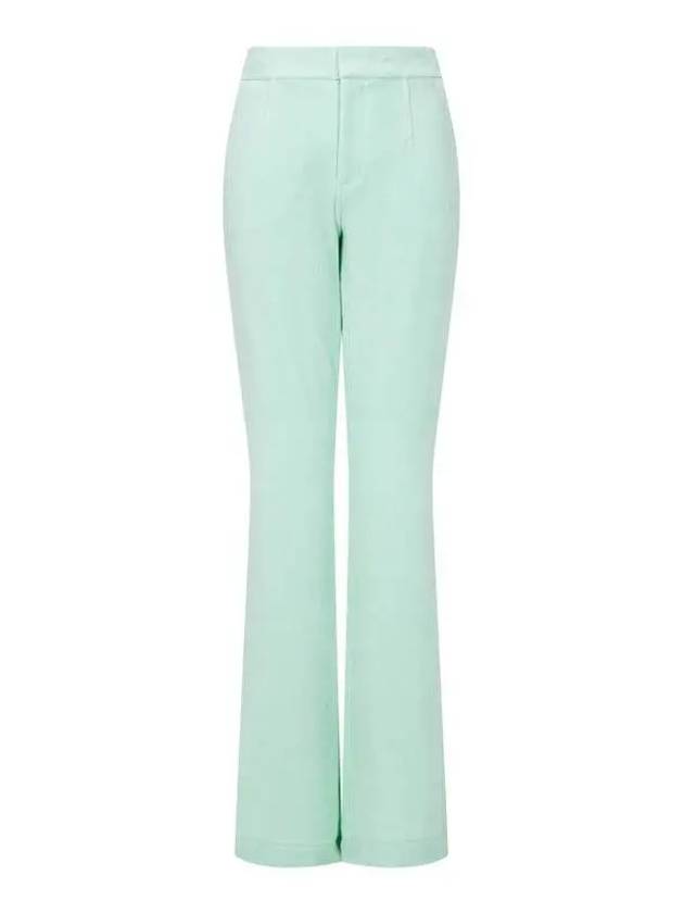 Easy Velor Bootcut Pants Mint - ALEXANDER WANG - BALAAN 1