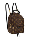 Palm Springs Monogram Mini Backpack Brown - LOUIS VUITTON - BALAAN 1