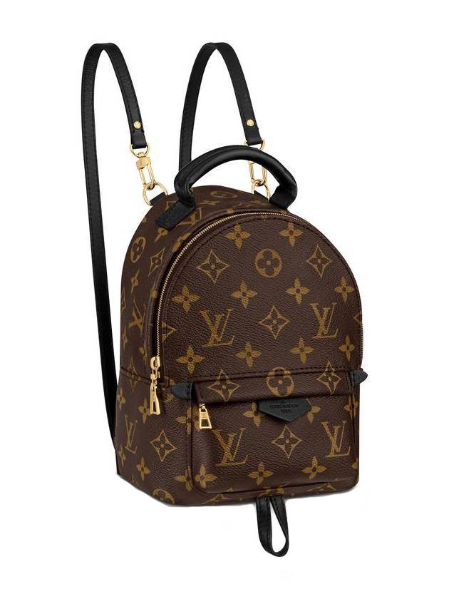 Palm Springs Monogram Mini Backpack Brown - LOUIS VUITTON - BALAAN 1