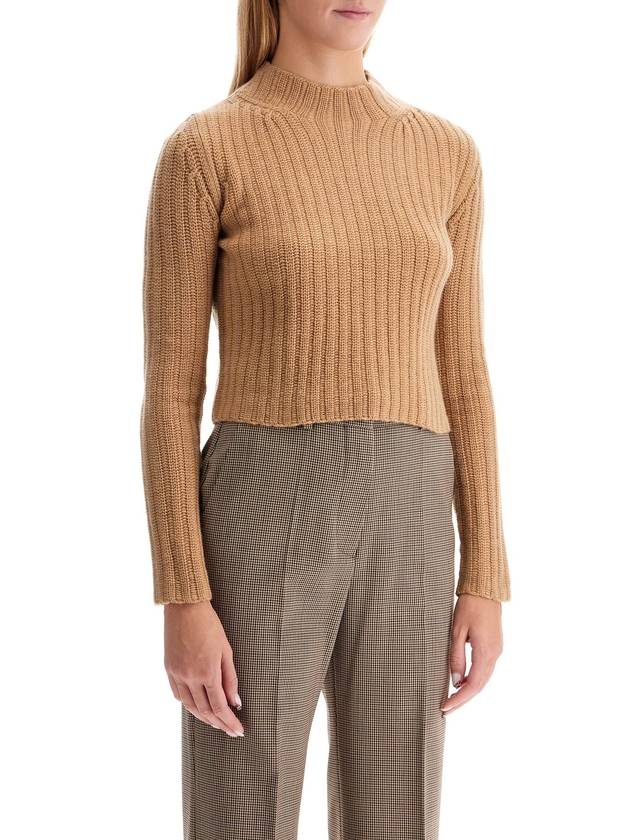 Aloa Wool Cashmere Cropped Knit Top Brown - MAX MARA - BALAAN 3