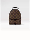 Palm Springs Monogram Mini Backpack Brown - LOUIS VUITTON - BALAAN 4