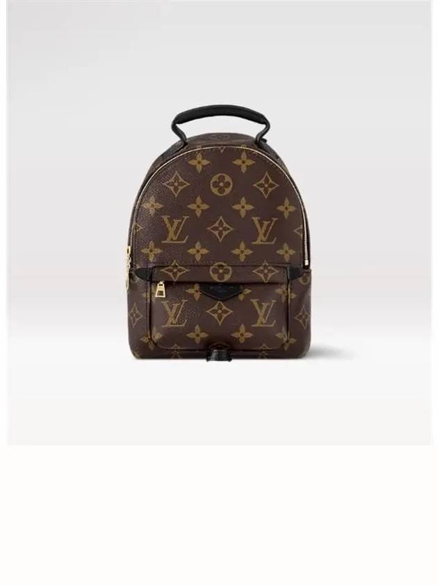 Palm Springs Monogram Mini Backpack Brown - LOUIS VUITTON - BALAAN 4