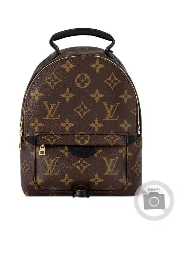 Palm Springs Monogram Mini Backpack Brown - LOUIS VUITTON - BALAAN 4