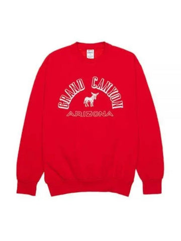 FG GRAND CANYON RED graphic printing sweatshirt - WILD DONKEY - BALAAN 1