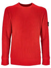 Wappen Patch Crew Neck Ribbed Wool Knit Top Red - STONE ISLAND - BALAAN 1