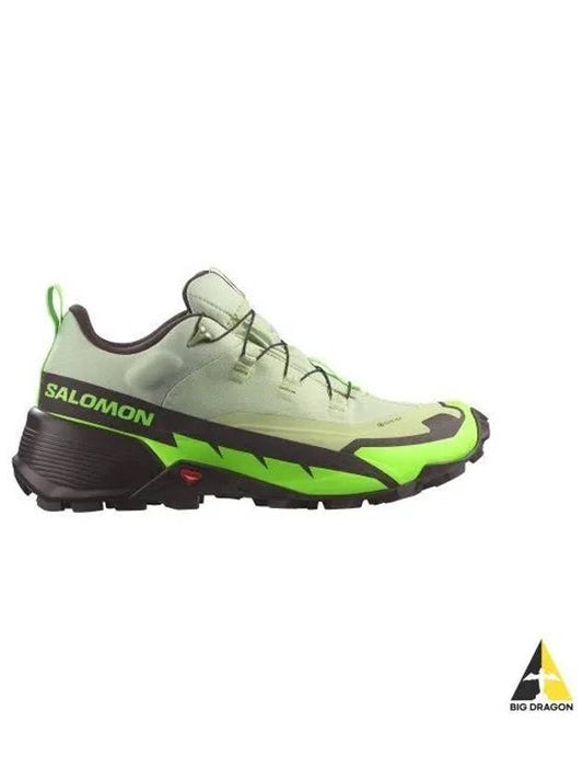 Cross Hike GTX 2 Desert Sage Green Nose Chocolate L47277600 - SALOMON - BALAAN 1