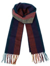 Artist Striped Knit Muffler Red Blue - PAUL SMITH - BALAAN.