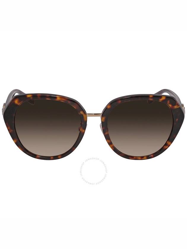 Coach Brown Gradient Butterfly Ladies Sunglasses HC8331 512013 55 - COACH - BALAAN 1