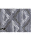 A5 Pouch Gray CD Diamond - DIOR - BALAAN 5