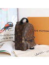 Palm Springs Monogram Mini Backpack Brown - LOUIS VUITTON - BALAAN 4